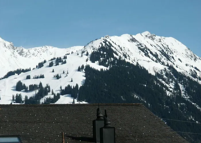 Chez-nous By Interhome Lejlighed Gstaad